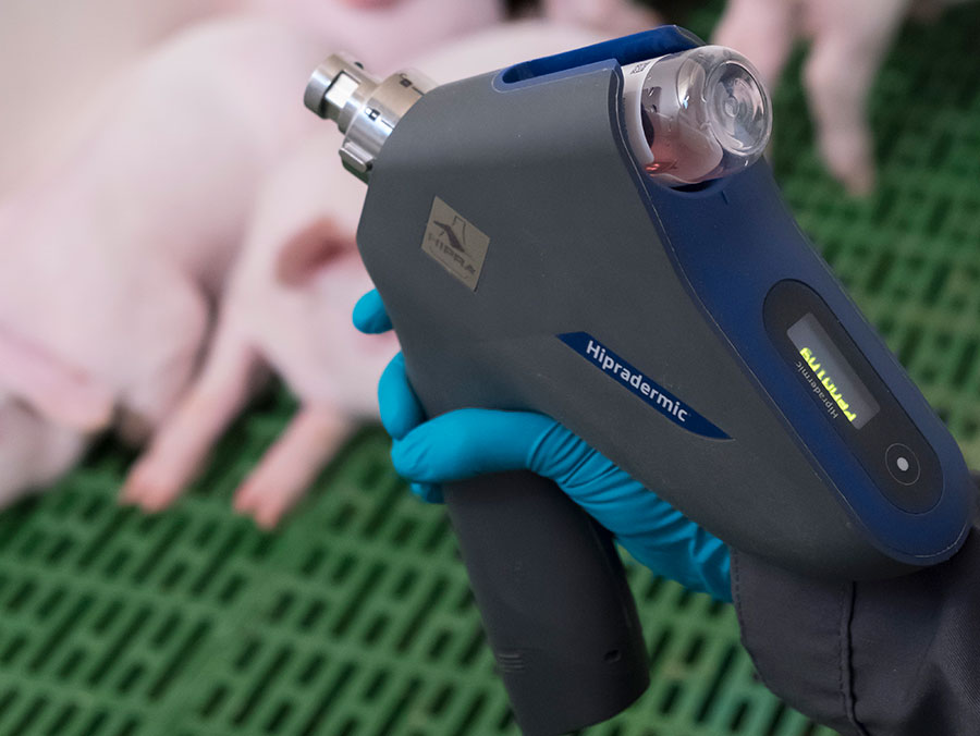 Hipradermic is an advanced needle-free injection device with wireless connectivity for intradermal vaccination of pigs. Smart vaccination. Swine health care.
