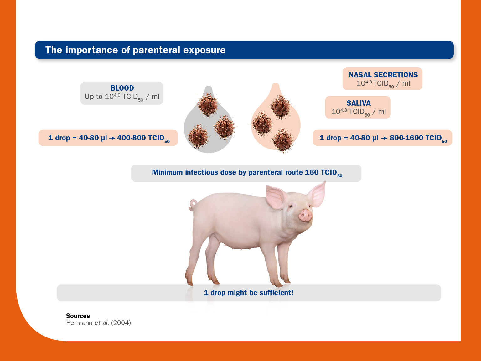 pigs parenteral exposure