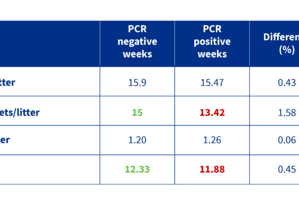 What is the impact of PRRS positivity status on productivity?