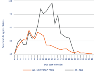 El impacto de la vacunación contra el PRRSV frente a una cepa altamente patógena: el caso de Rosalía