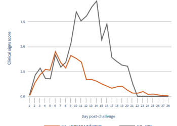 The impact of PRRSV vaccination over a highly pathogenic strain: the case of Rosalia