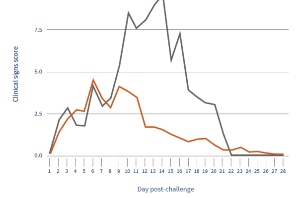 The impact of PRRSV vaccination over a highly pathogenic strain: the case of Rosalia