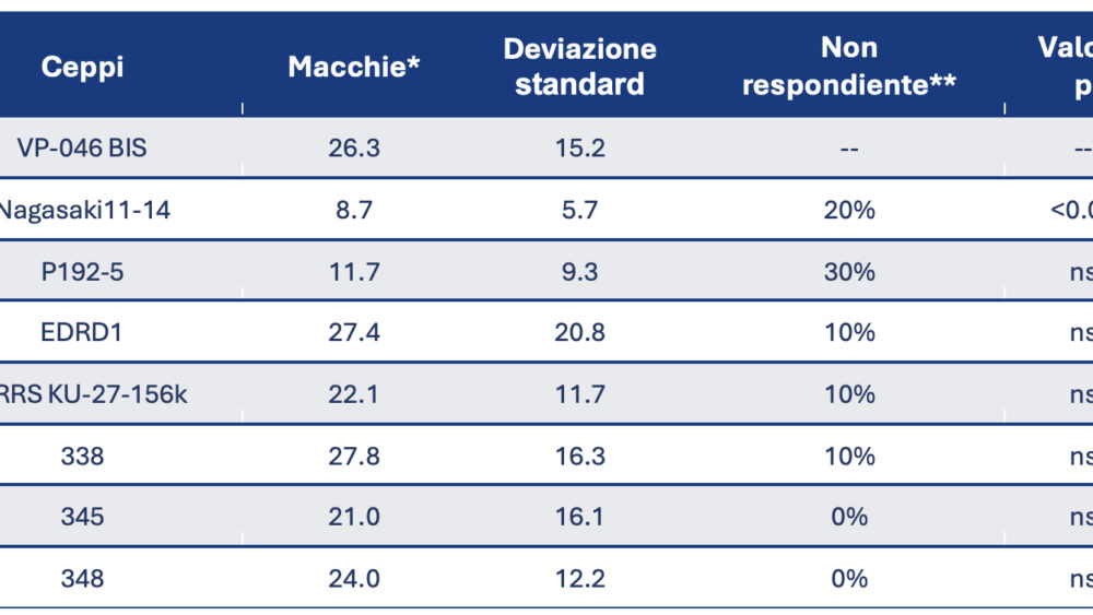 Risultati del test ELISPOT