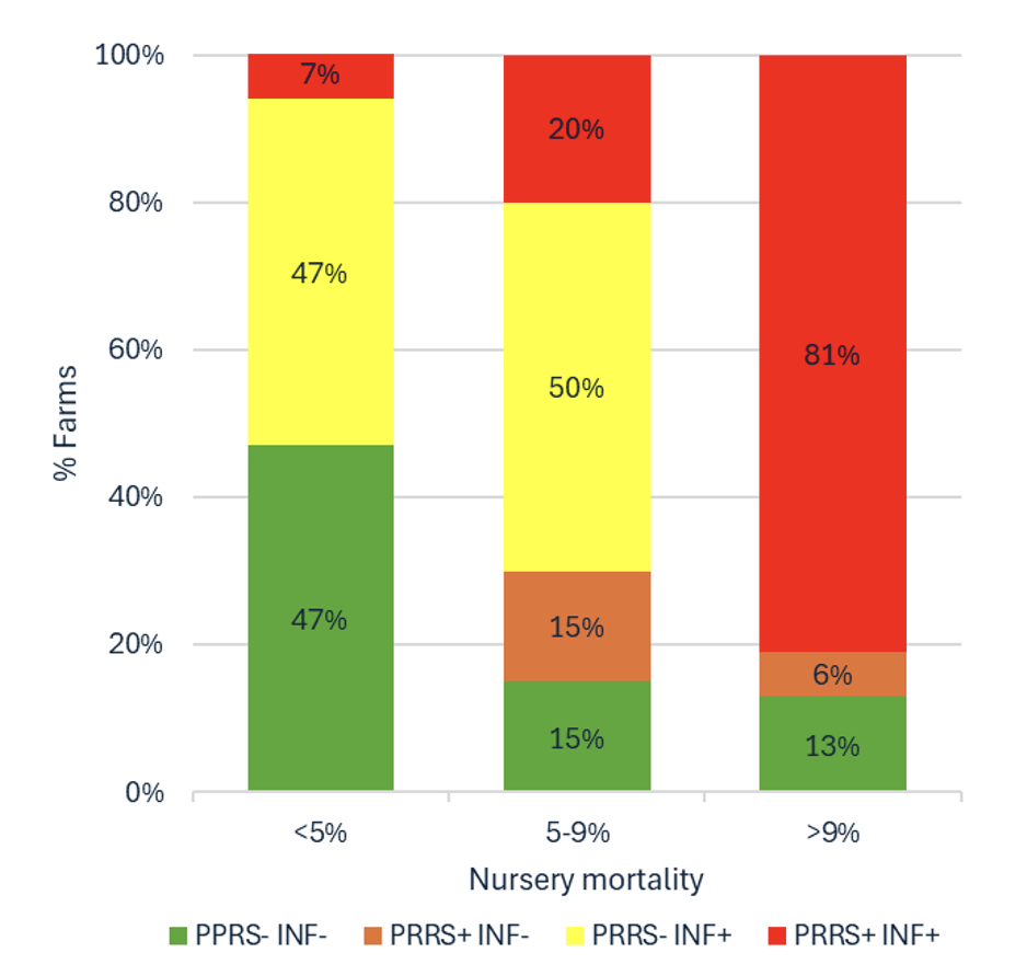 Nursery mortality categorized by PRRSV and SIV PCR status (Spanish study).