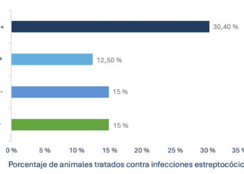 Coinfección por los virus del síndrome reproductivo y respiratorio porcino (PRRS) y la gripe porcina: prevalencia e impacto productivo en las transiciones